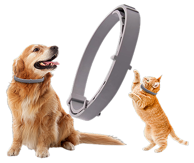 Pet GPS
